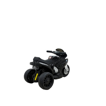 BMW S1000 RR MINI
