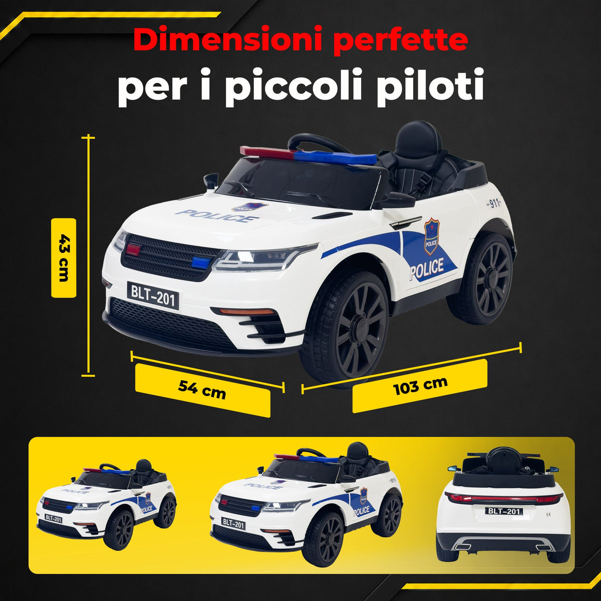 [IT] Auto Polizia - infografica 4