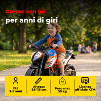KTM Superduke 1290 12V · 2-5 anni — foto 13