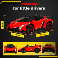 Lamborghini Veneno 12V · 3-8 anni — foto 17