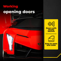 Lamborghini Veneno 12V · 3-8 anni — foto 18