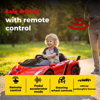 Lamborghini Veneno 12V · 3-8 anni — foto 19