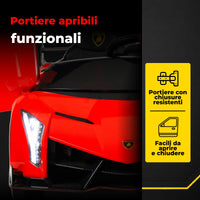 Lamborghini Veneno 12V · 3-8 anni — foto 11